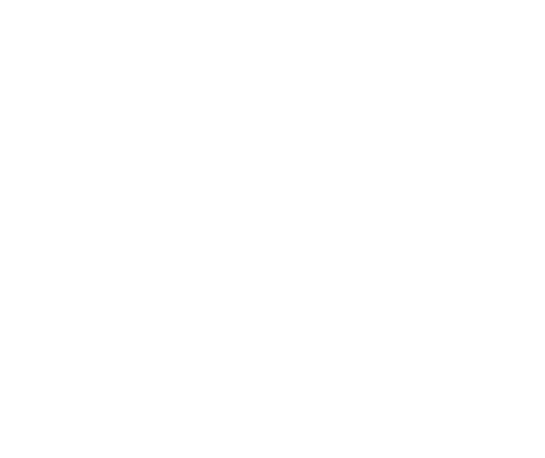 NEBBIOLO D'ALBA DOC "MIRINÈ"